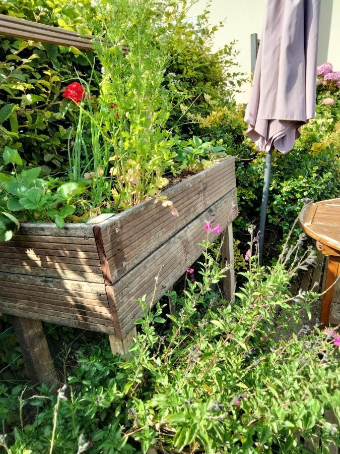 Mer A Pied Vrai Lit Linge Fourni Jardin Brétignolles-sur-Mer 외부 사진